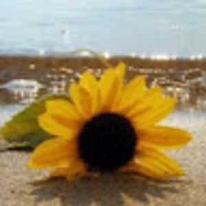 Meet your Posher, Leia